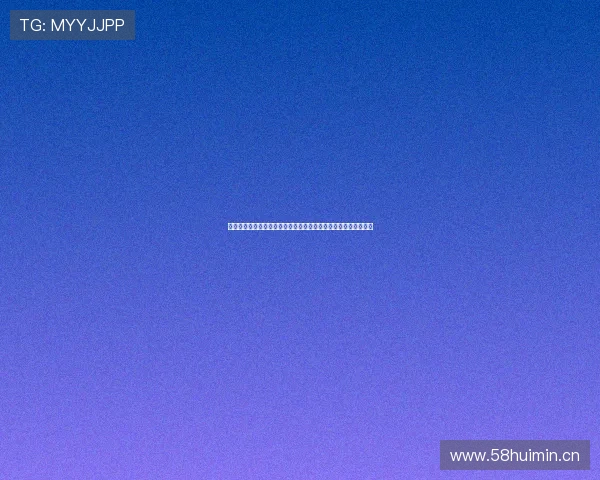 小鸟科技官网：创新引领未来智能科技发展，助力企业数字化转型